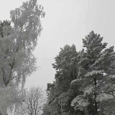 Pokoje U Wujka